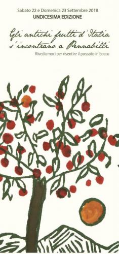 Gli Antichi Frutti D'italia S'incontrano A Pennabilli - Pennabilli
