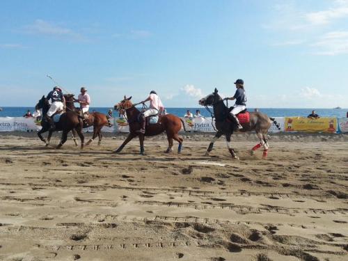 Polo Beach Cup - Pietra Ligure