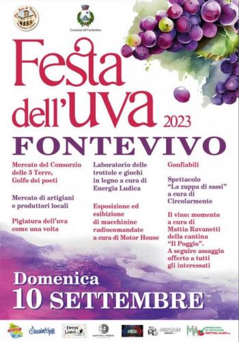 Festa Dell'uva A Fontevivo - Fontevivo
