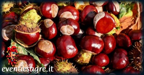 Castagnata - San Canzian D'isonzo