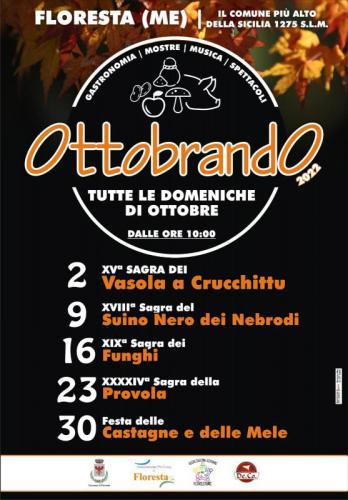 Festa Delle Castagne - Floresta