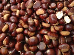 Festa Della Castagna - Bagni Di Lucca