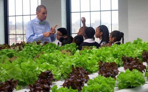 Giornata Mondiale Dell'alimentazione - Bologna
