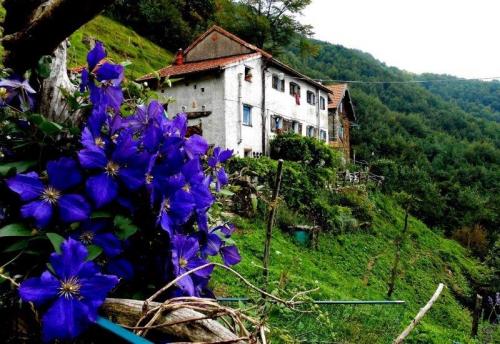 Vita Contadina Tra Passato E Presente - Valbrevenna