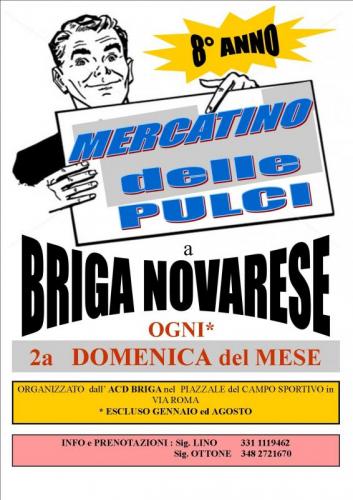 Mercatino Delle Pulci - Briga Novarese
