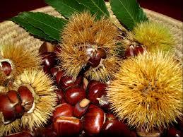 Sagra Delle Castagne - Tusa