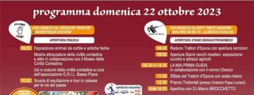 Fiera Di San Martino A Torre Di Mosto - Torre Di Mosto