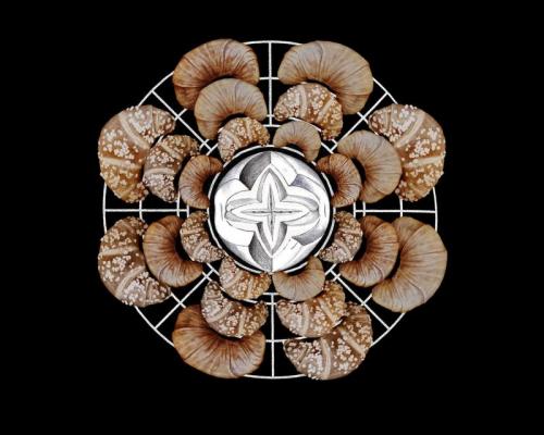 Personale Di Carla Viparelli - Napoli