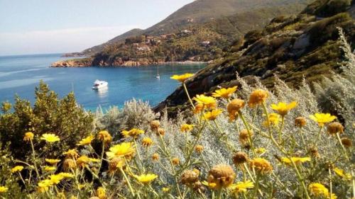 Trekking All'isola Del Giglio - Isola Del Giglio
