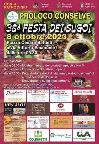 Festa Dei Sugoi A Conselve - Conselve