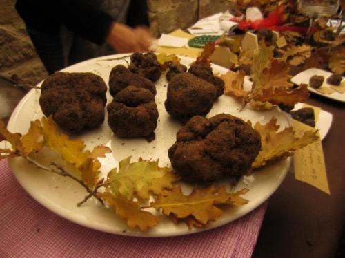 Le Terre Del Tartufo - Pieve Torina
