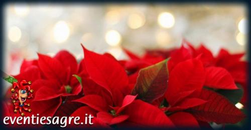 Natale Insieme A Magenta - Magenta