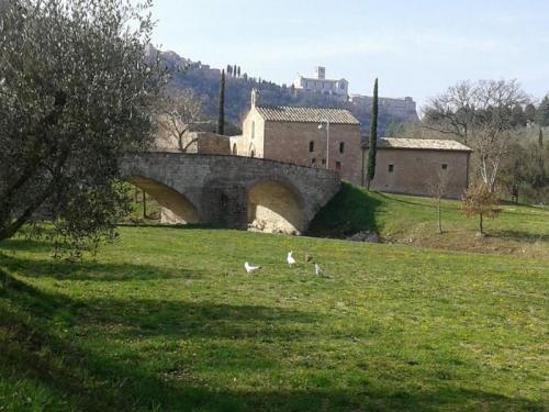 Scampagnata Del Lunedì Di Pasqua - Assisi