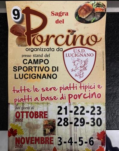 Sagra Del Porcino A Lucignano - Lucignano