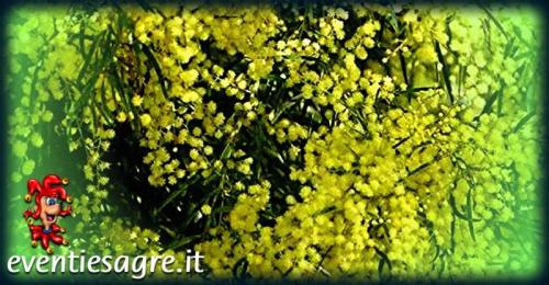 Giornata Internazionale Della Donna - Napoli