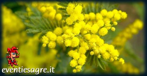 Festa Della Donna Al Centro Pertini - Zola Predosa