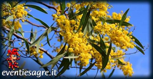 Festa Della Donna A Firenze - Firenze