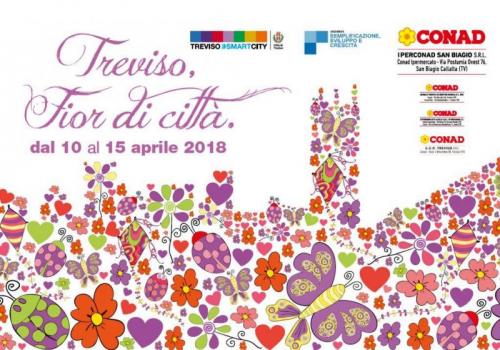 Fior Di Città - Treviso