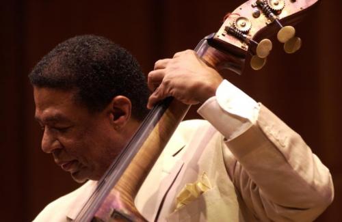 Buster Williams In Tour - Ferrara