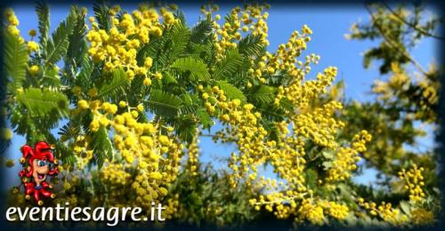 Festa Delle Donne A Carmignano - Carmignano