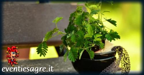 Otto Marzo: Donna Protagonista - 