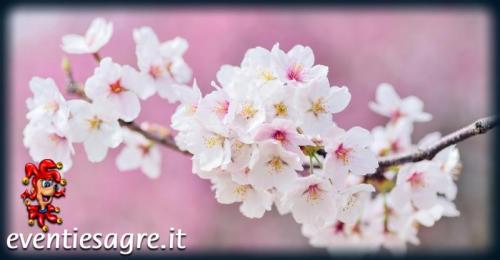 Festa Di Primavera A Parma - Parma