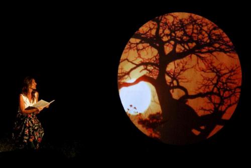 La Festa Degli Alberi - Bologna