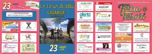 Terra E Tesori - Camaiore