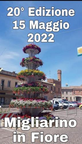 Fiera Del Fiore A Migliarino - Fiscaglia