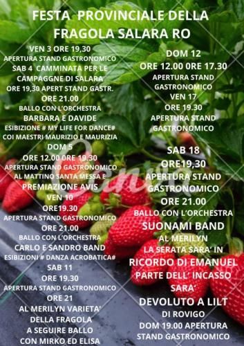 Festa Della Fragola  - Salara
