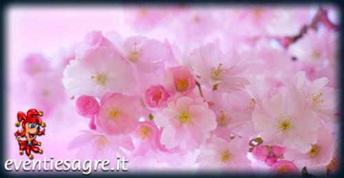 Mercatino Di Primavera - Lazise