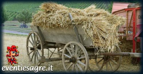 Festa Della Trebbiatura - Maissana