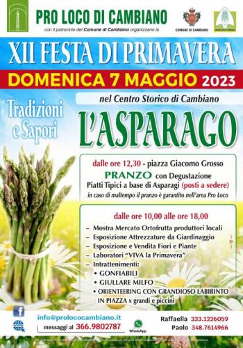 Festa Di Primavera A Cambiano - Cambiano