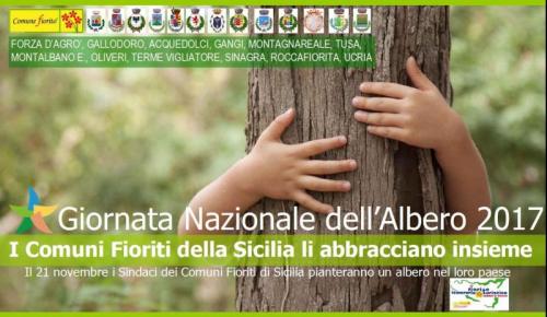 Festa Dell'albero - 