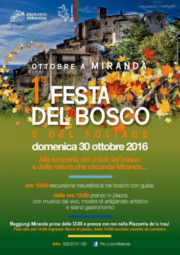 Festa Del Bosco - Terni