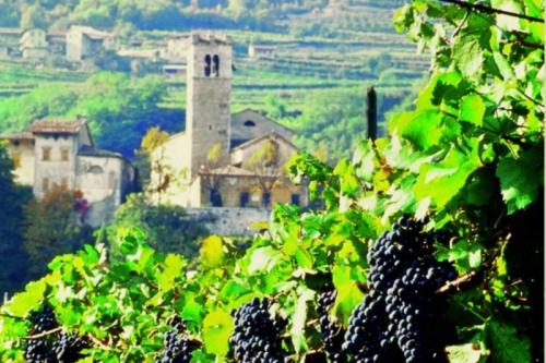 La Vigna Eccellente - Isera