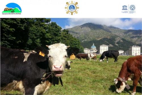 Fiera Di San Bartolomeo - Biella