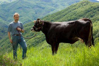 Mostra Della Razza Cabannina - Rezzoaglio