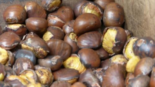 Castagnata A Brinzio - Brinzio