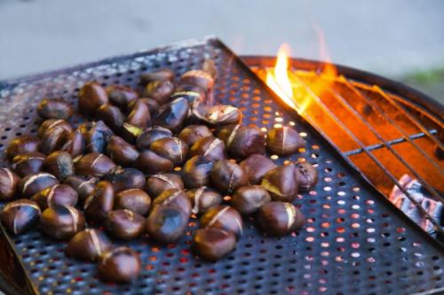 Festa Delle Bruciate E Vinnovo - San Casciano In Val Di Pesa