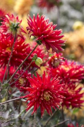 Colori D'autunno - Milano