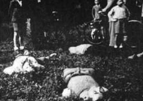 Commemorazione Dei Caduti Della Gera - Luino