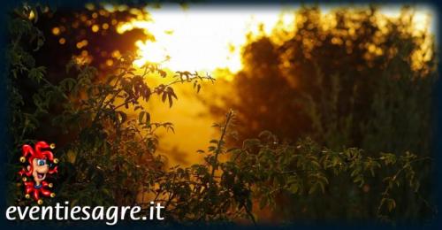 Festa Di S. Martino - Albiano D'ivrea