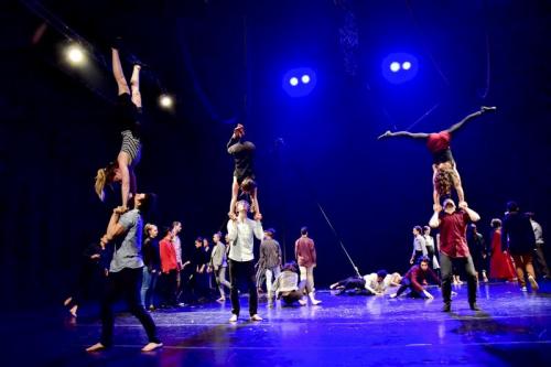 Circo In Pillole - Torino