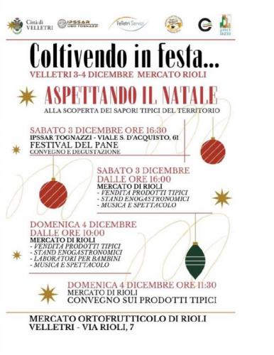 Aspettando Natale A Velletri - Velletri