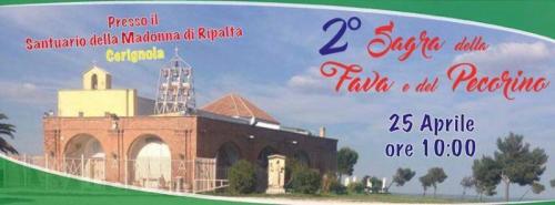 Sagra Della Fava E Pecorino - Cerignola