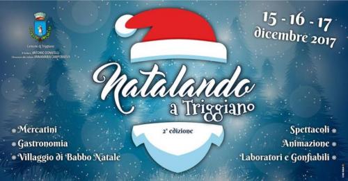Mercatino Di Natale A Triggiano - Triggiano