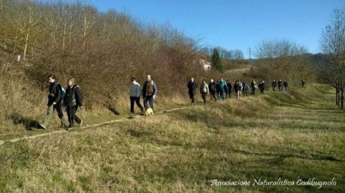 Giornata Nazionale Delle Ferrovie Dimenticate - Bagnaria