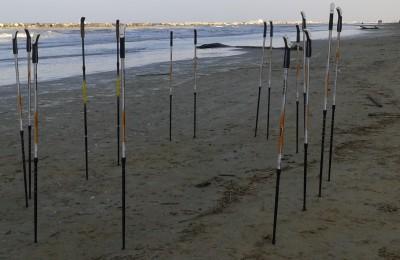 Nordic Walking - Pesaro