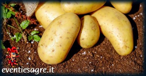 Mercato Contadino A Mussolente - Mussolente